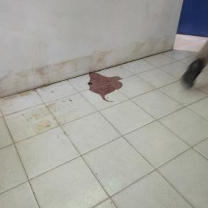 Foto Laporan
